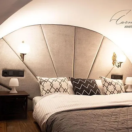 Apartment Vaulted Carmelite *