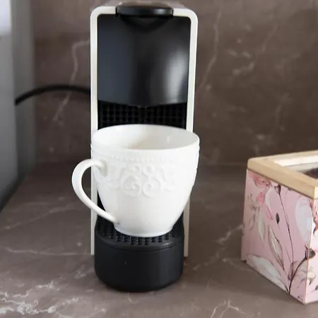 Vaulted Carmelite * Wilno