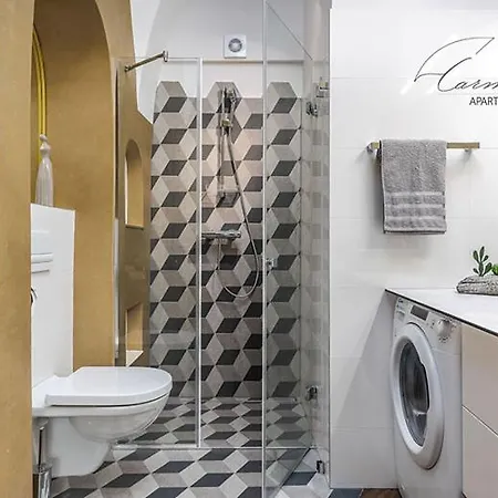 Vaulted Carmelite * Vilnius