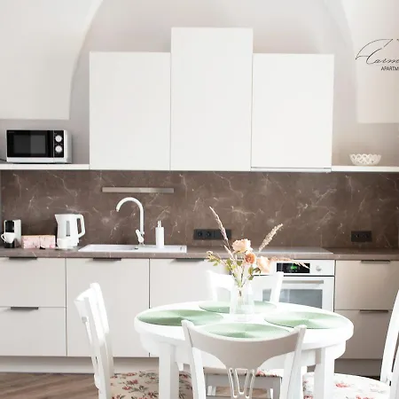 Vaulted Carmelite Apartament